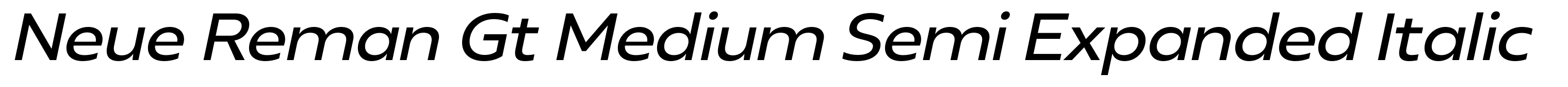 Neue Reman Gt Medium Semi Expanded Italic